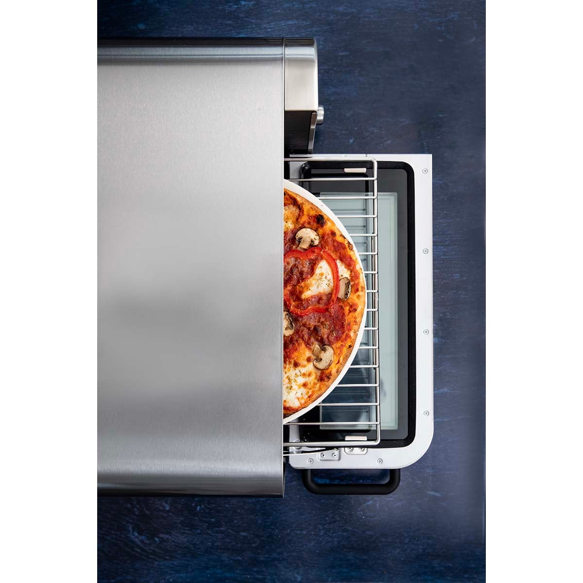 1446859|18310019
